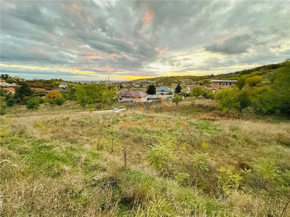 TEREN INTRAVILAN, 950 MP, ZONA PALEU, STRADA PADURII