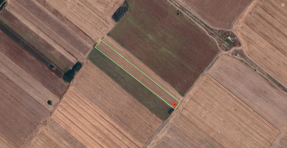 Teren Extravilan In Rate Primaverii Com. Berceni | 10.000mp | #EG51