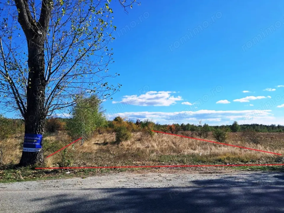 TEREN INTRAVILAN ȘI EXTRAVILAN BAIA DE FIER