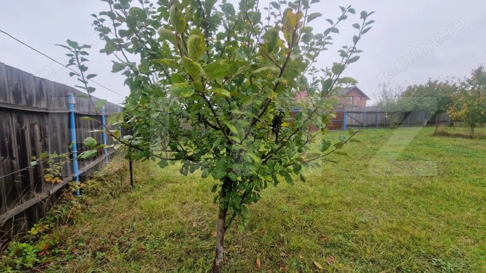 Teren Intravilan Harman cu utilitati , ingradit si casauta de lemn pe teren