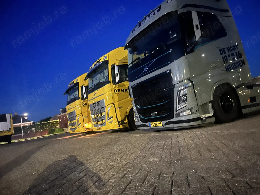 Șofer comunitate Olanda