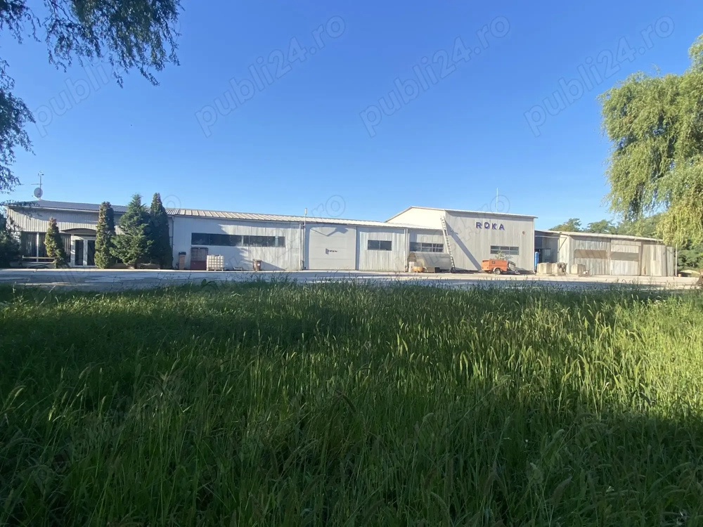2 Hale cu dotari, afacere cu clienti, birouri-vestiare, teren, E60, Tileagd BH,