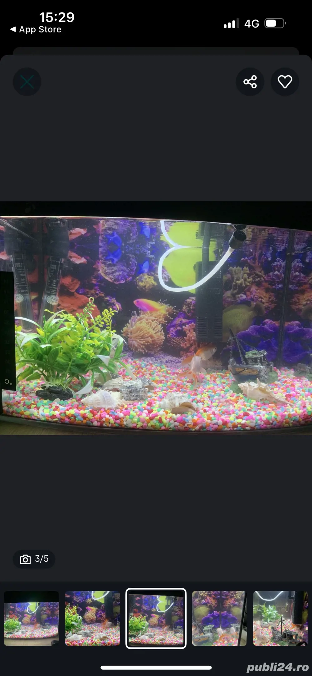 acvariu de vânzare 