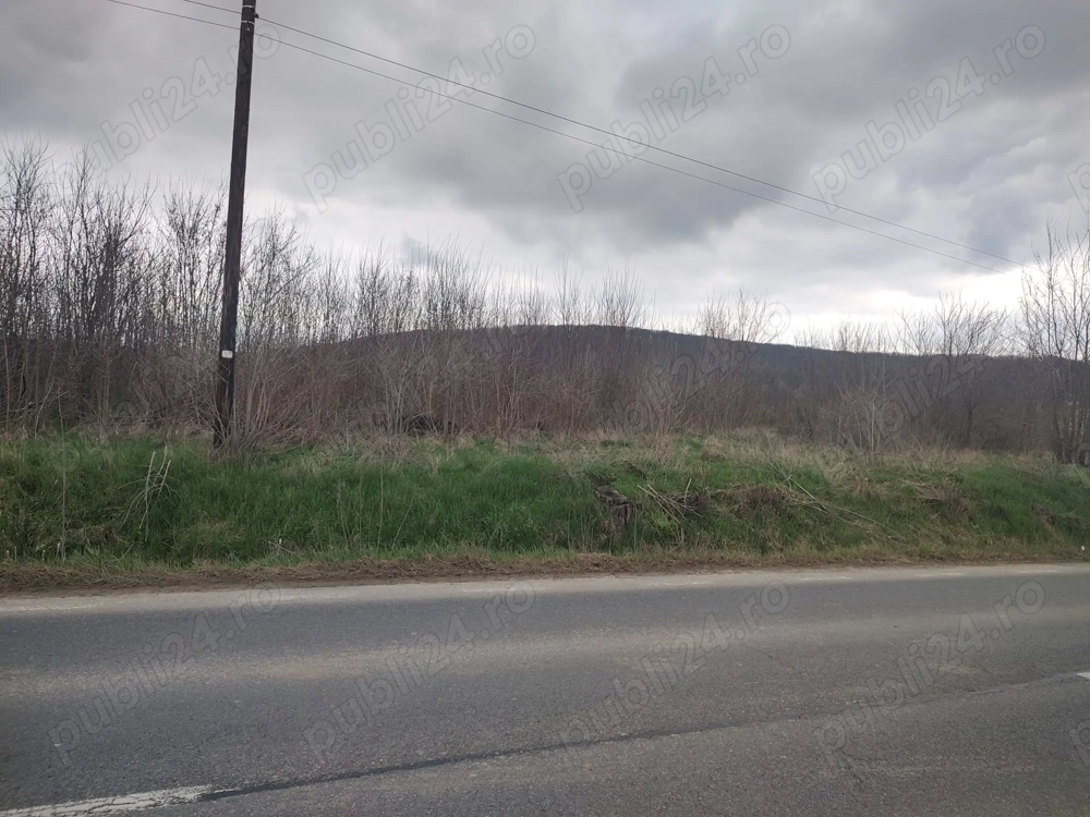 Teren intravilan, deschidere 25,5 m la DN24, în Poieni   IAȘI (15 km de Iași)