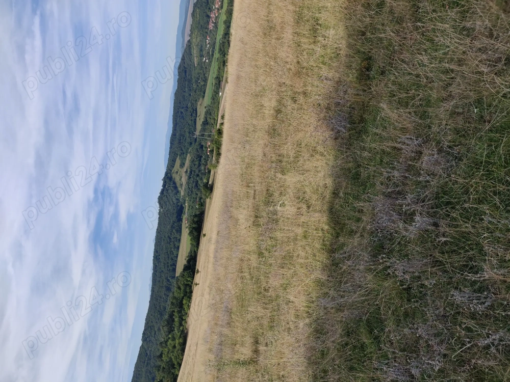 Vând pădure în satul Totia,jud.Hunedoars