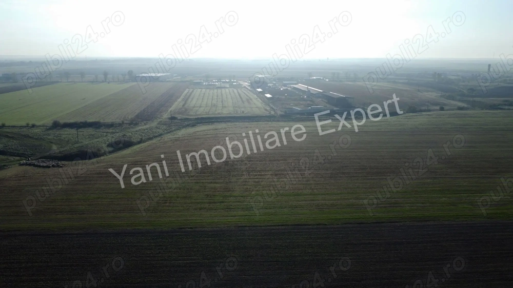 Teren de vânzare în comuna Căteasca, Județ Argeș.