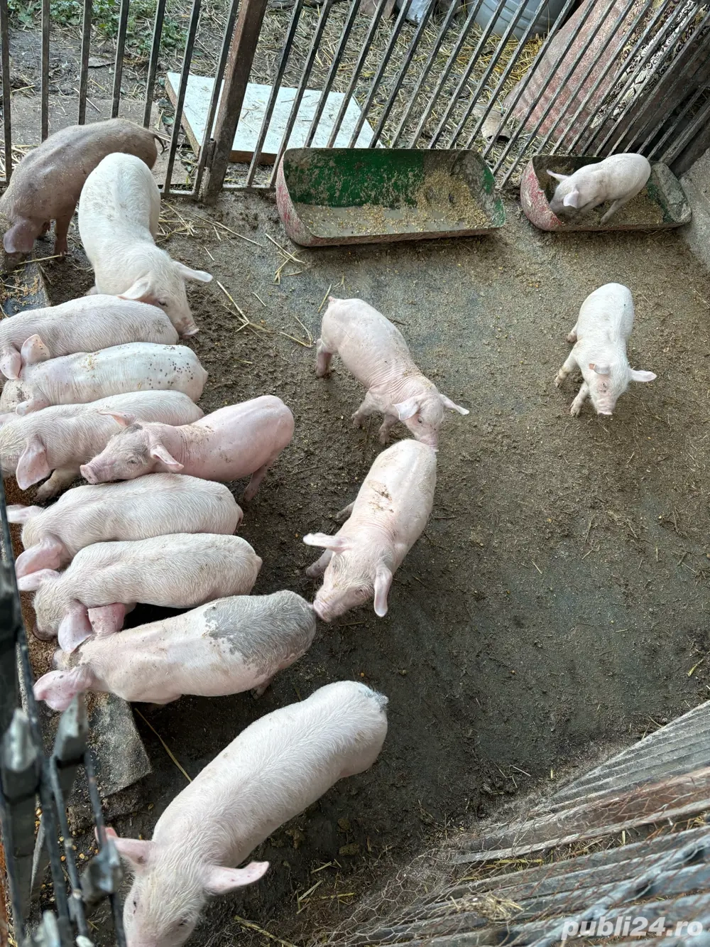 De vanzare De vanzare