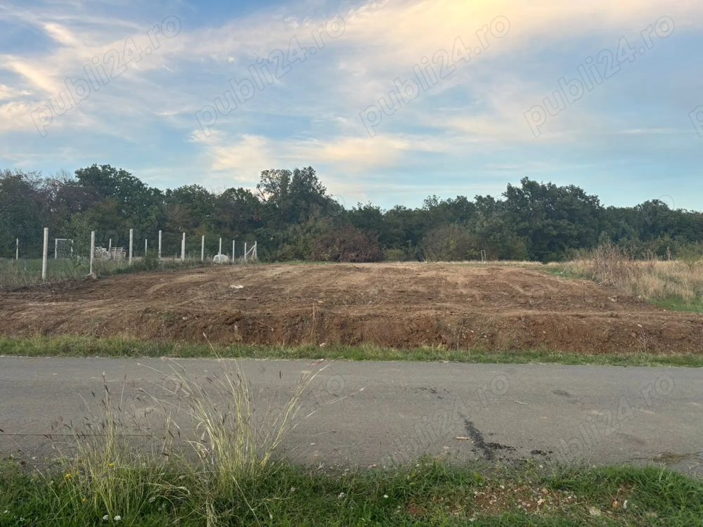 Vand teren intravilan in Betfia langa padure 1001 mp.