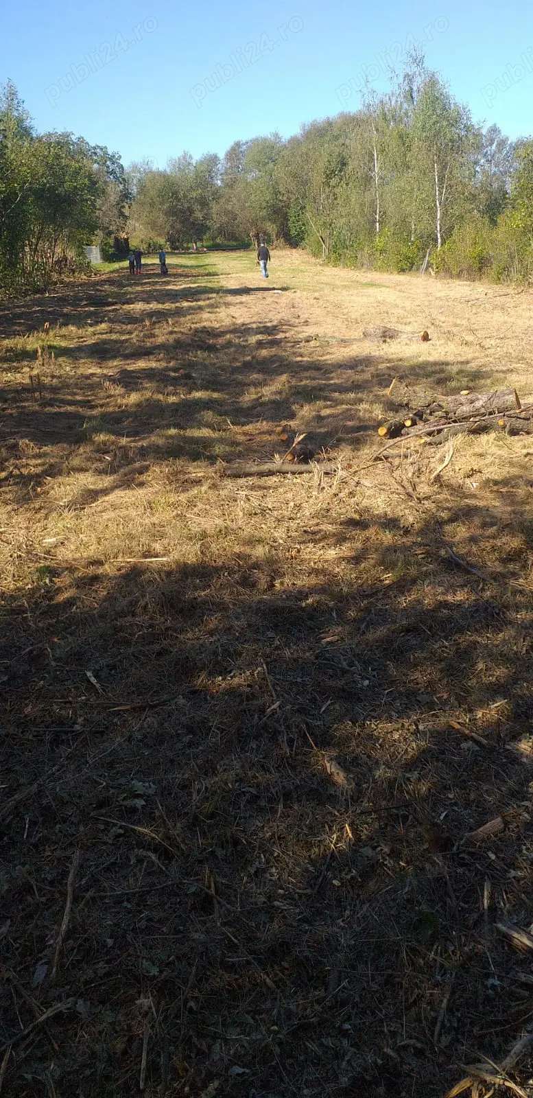 Teren Intravilan 2164 mp, Mărgineni, Com. Hârseni, jud. Brașov 