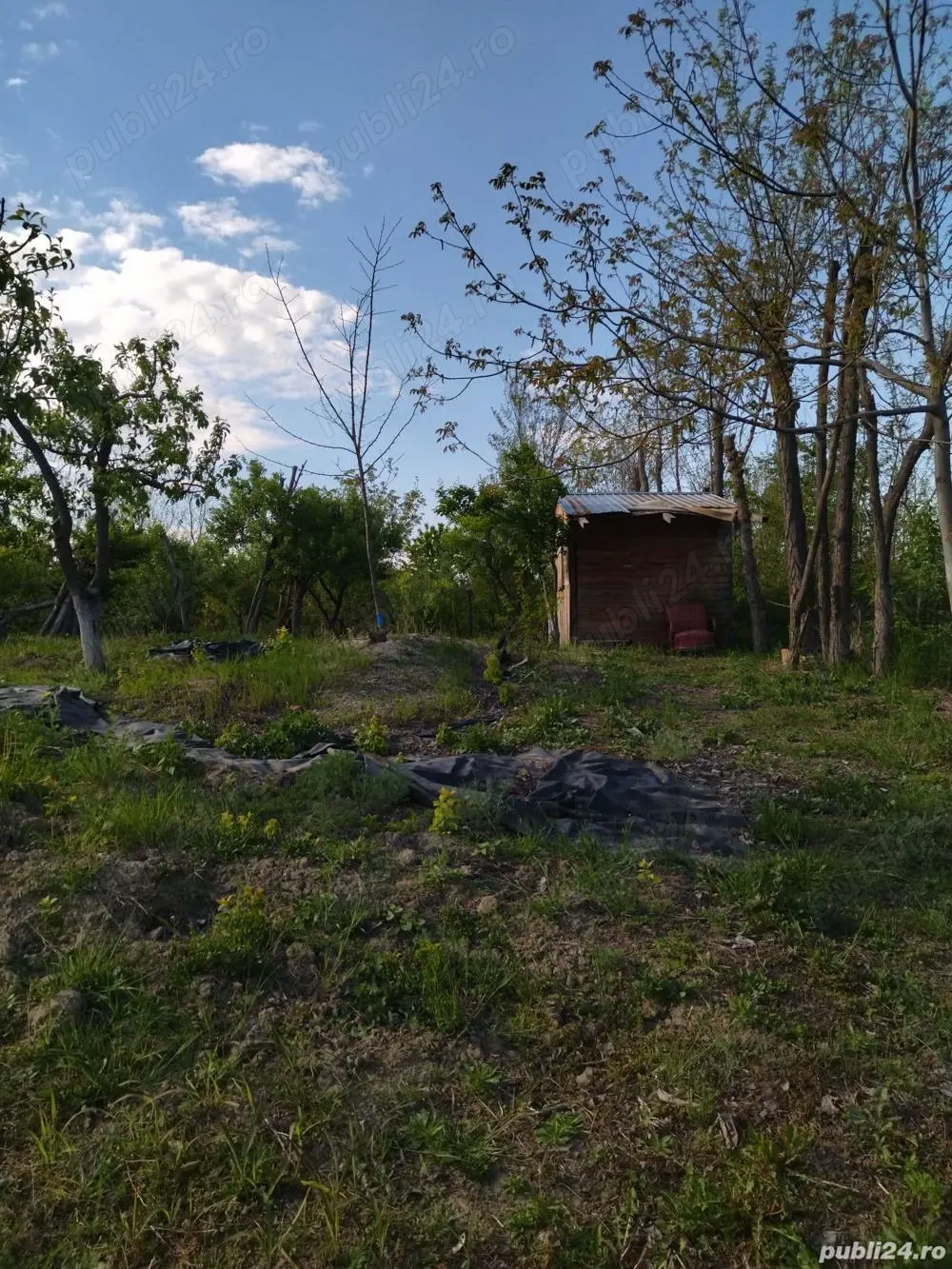 Teren Mihailesti , Jud Buzau- 2500mp