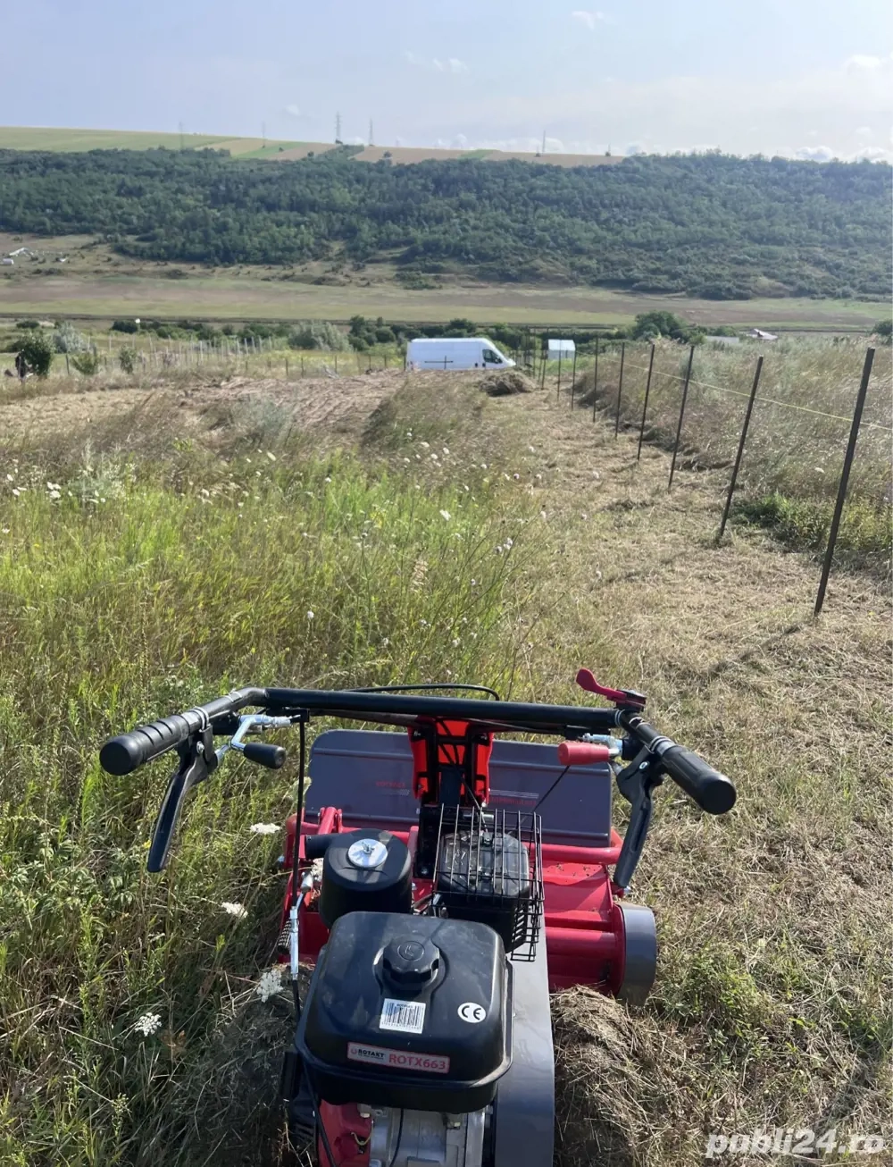 Defrișări terenuri, cosit și debarasat resturi vegetale 