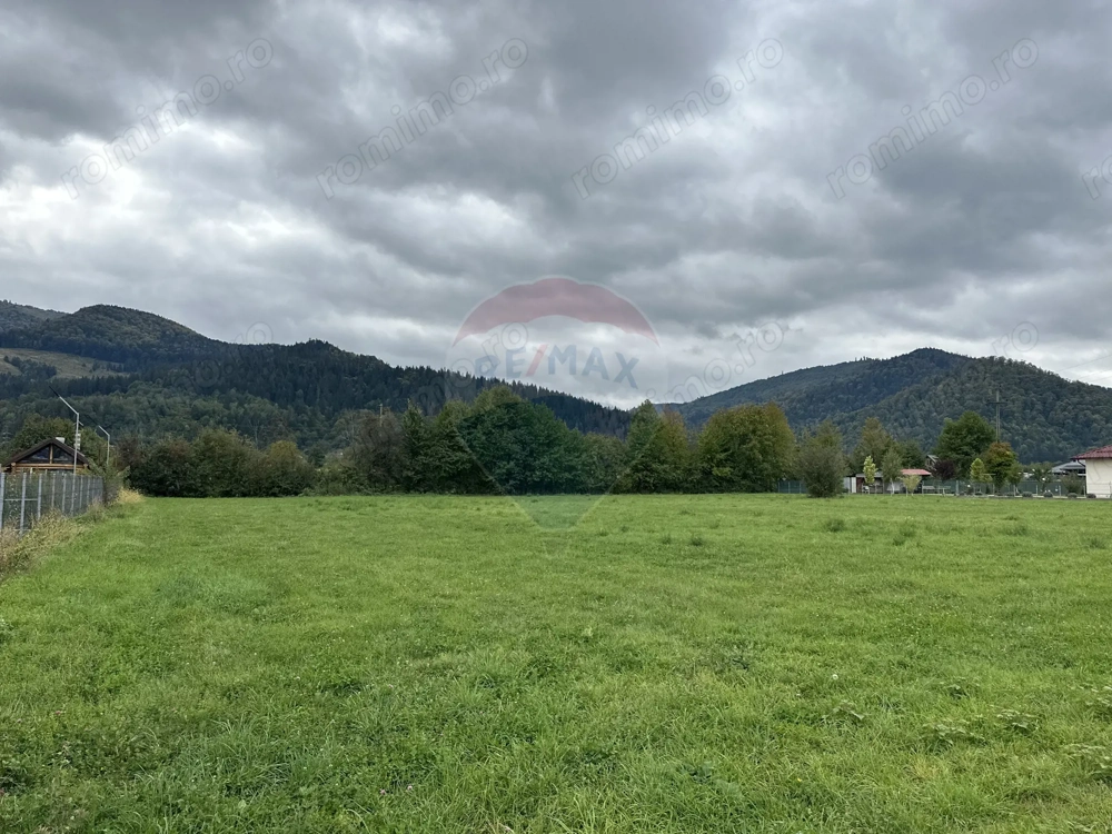 Teren 1,023mp Vadurele (Alexandru cel Bun) / Strada Stejarilor