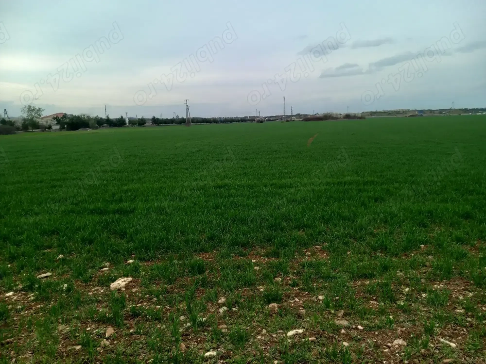 Teren extravilan zona Gării Floresti Teren extravilan zona Gării Floresti