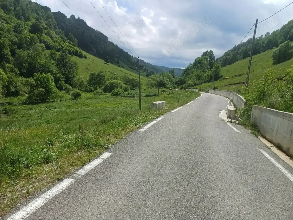 Teren Muntele Baisori 