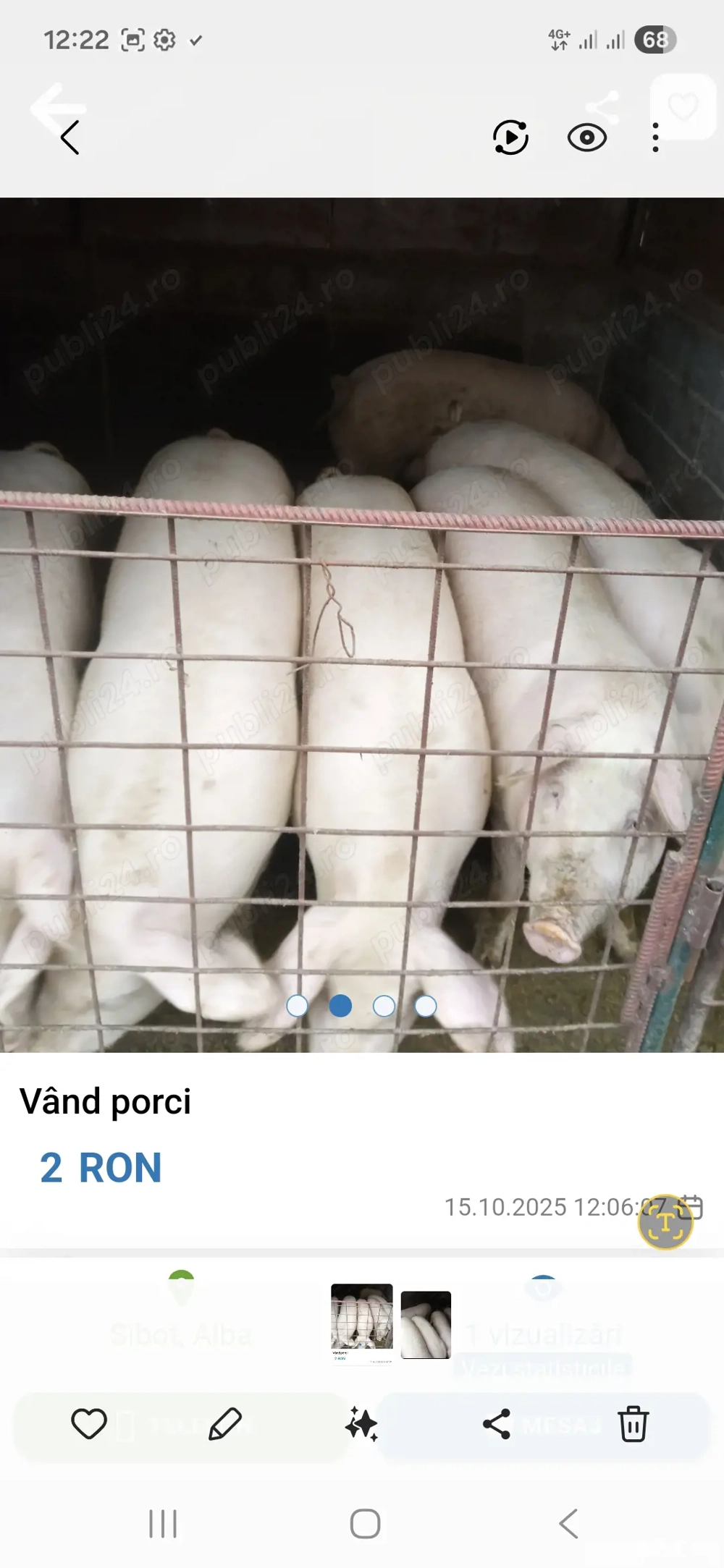 porci de vanzare porci de vanzare