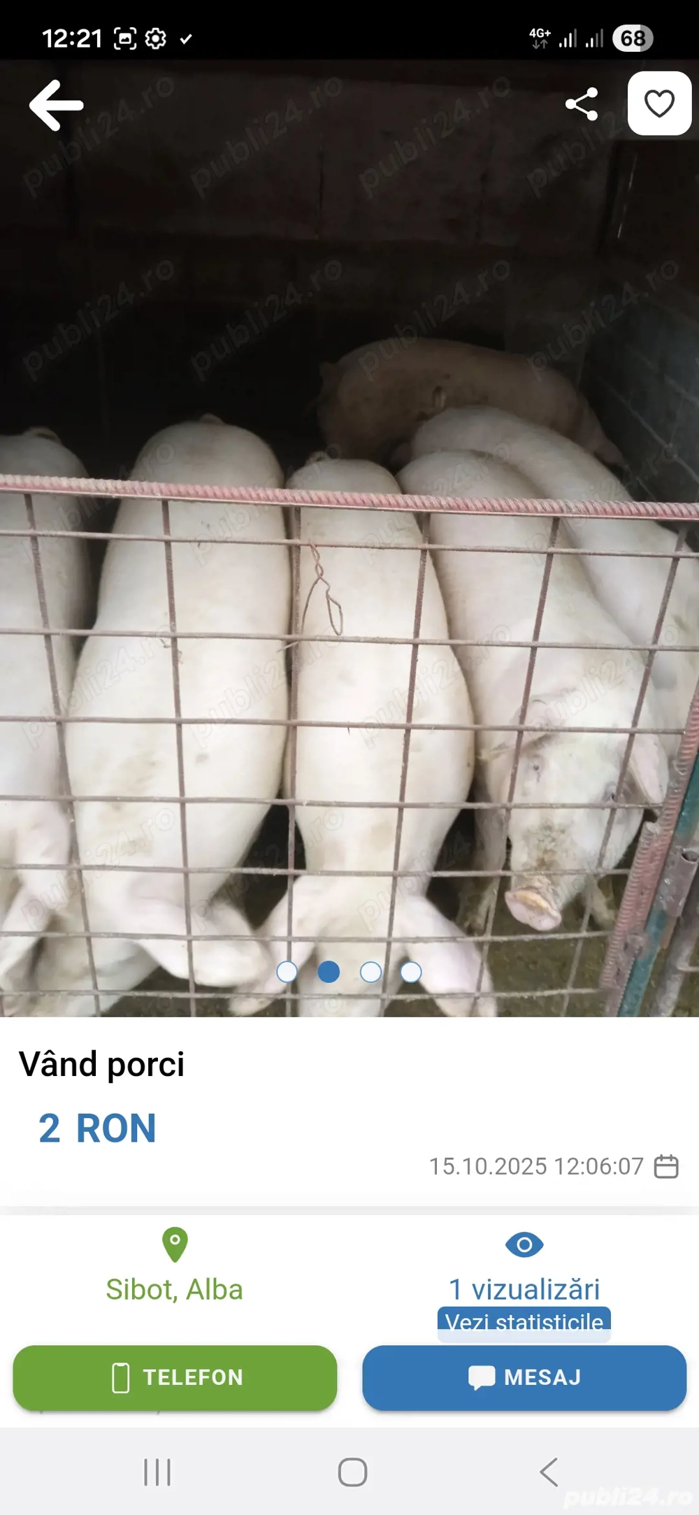 porci de vanzare  porci de vanzare