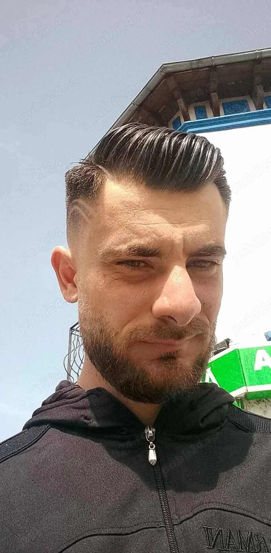 Plimb câini de orice rasă în Brașov 