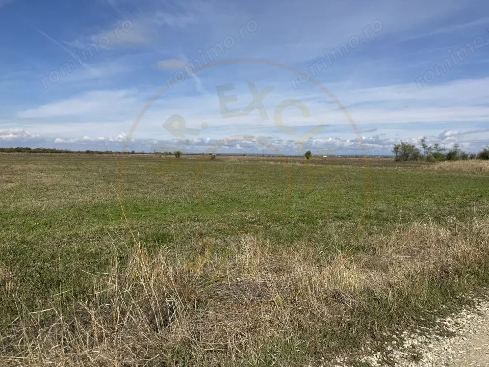 Teren intravilan 3700 mp  - zona linistita