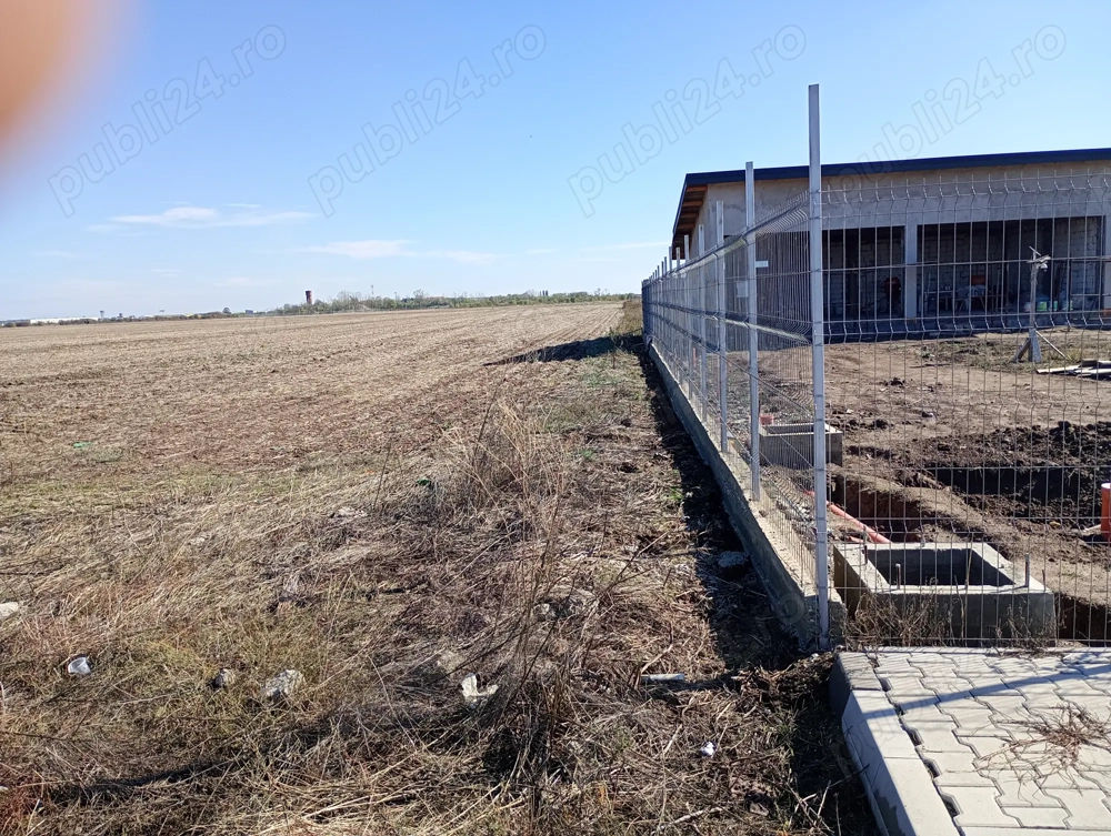 Teren Dragomirești vale Ilfov 11000mp