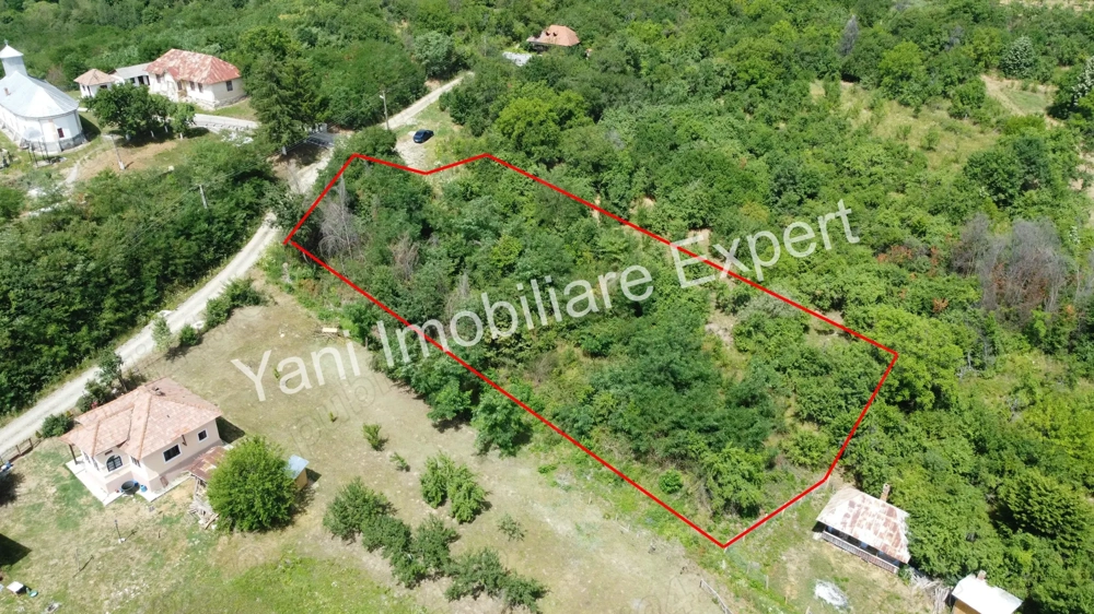 Teren de vânzare în comuna Băiculești, județ Argeș.