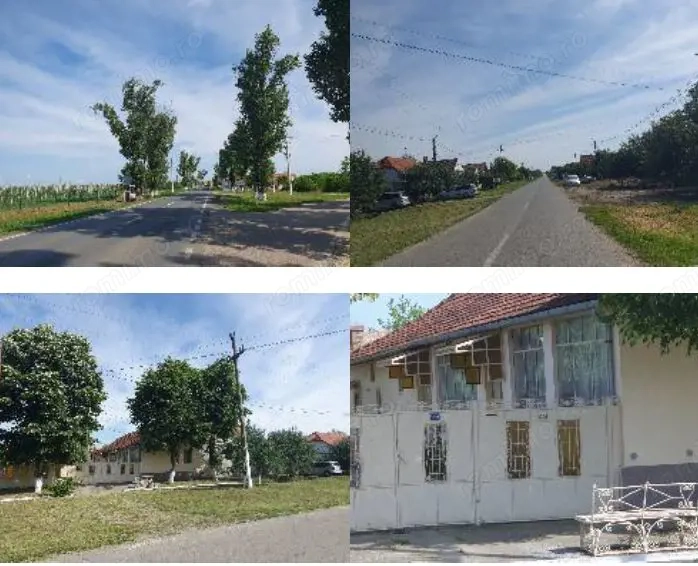 Casa si teren localitatea Cenad, comuna Cenad, jud. Timis