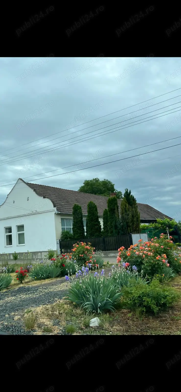   Casă de vânzare   Lenauheim, centru