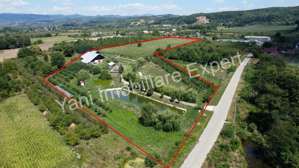 Proprietate de excepție de vânzare în Bârseștii de Jos, Comuna Cepari, Judet Argeș.