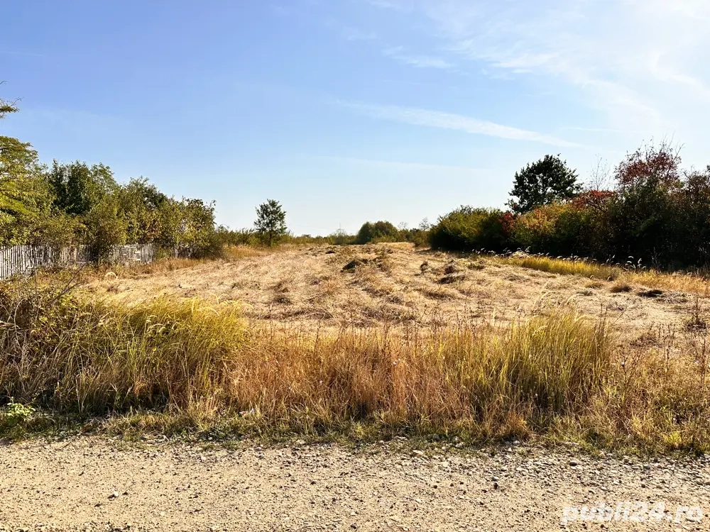 vand teren Hințesti 