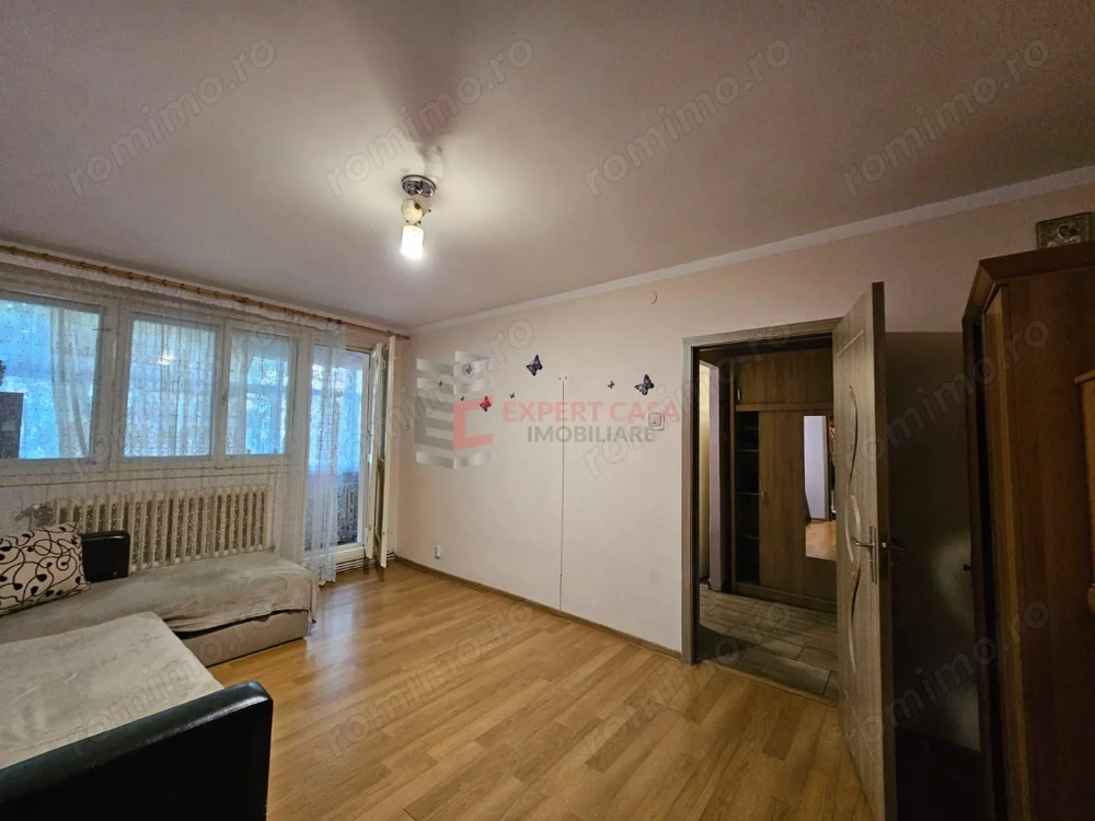 Apartament palas podu ros cantemir