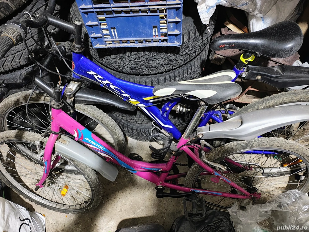 Bicicletă Atlantic si Rich suspensii