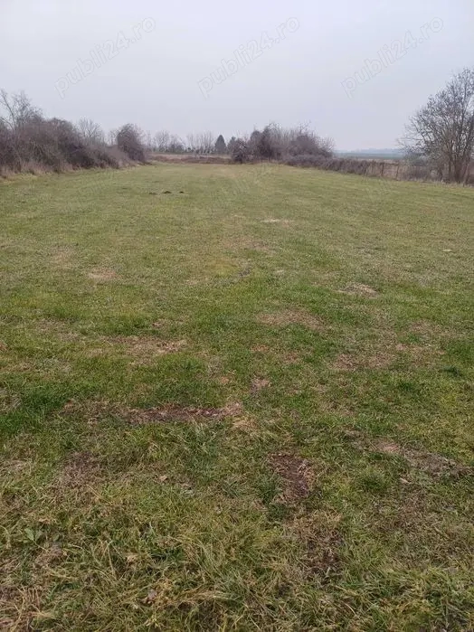 Vindem plat de casa la bazos vechi 