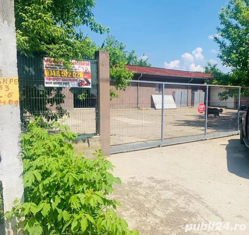 hala holboca  hala holboca