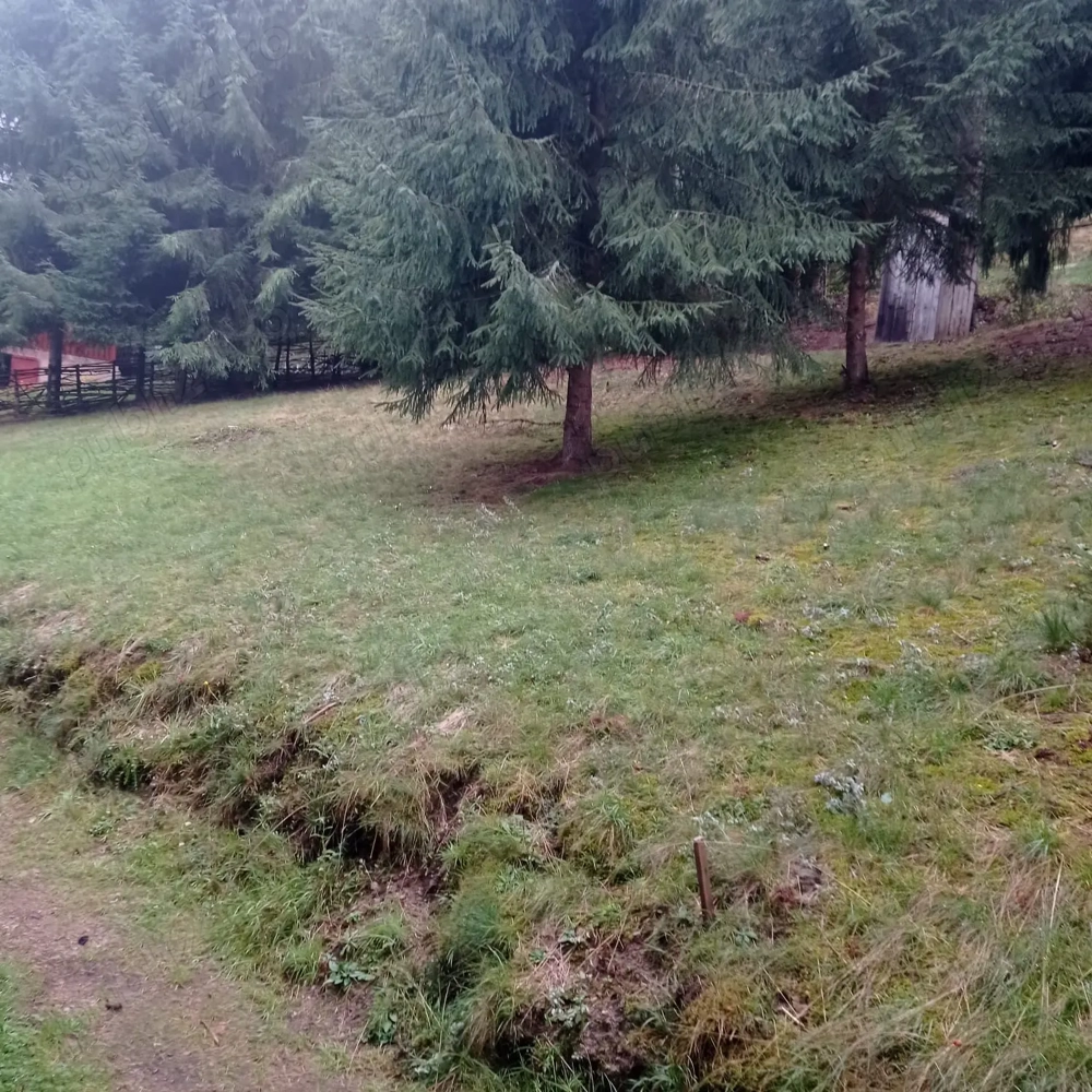 Teren Stațiunea Muntele Băișorii Cluj