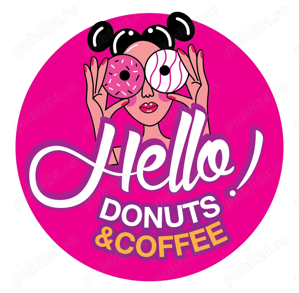 Sofer permis categoria B