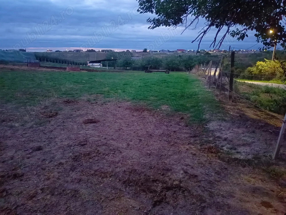 Teren intravilan Loc de casa Les, Bihor Teren intravilan Loc de casa Les, Bihor