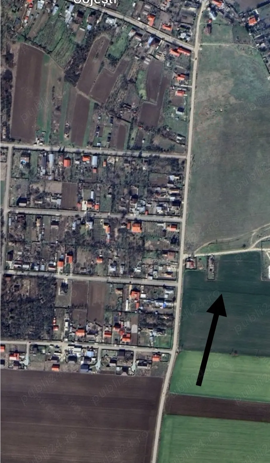 Vand teren intravilan Belciugatele com Cojesti