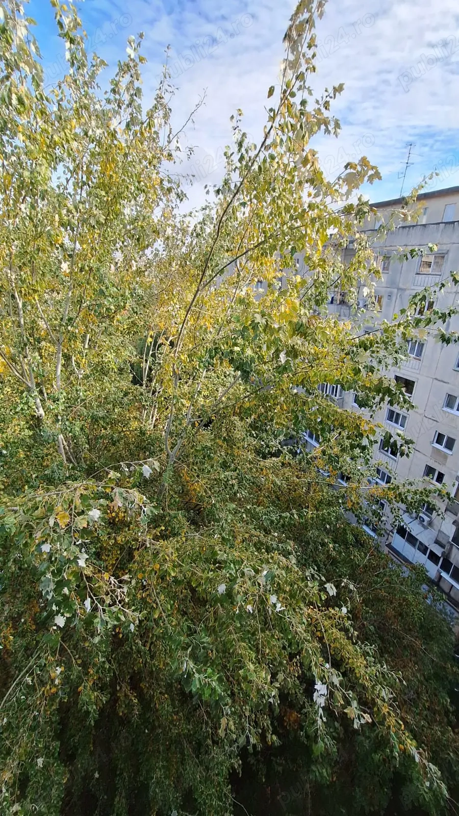 Vânzare garsonieră confort 1 sporit Brancoveanu