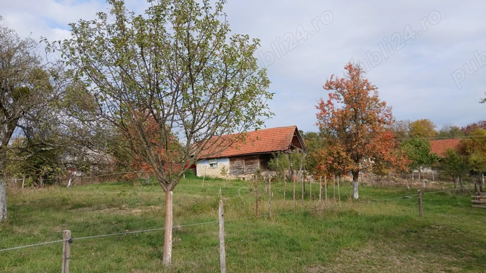 Loc de casă cu livadă și corp de clădire