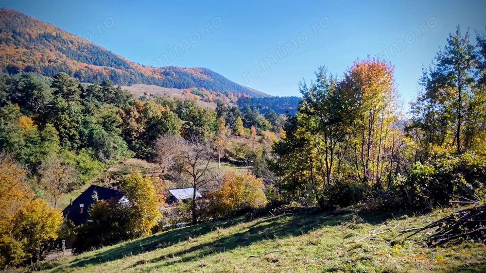 Teren 3600 mp langa Piatra Neamț, la 5 km de Shopping City