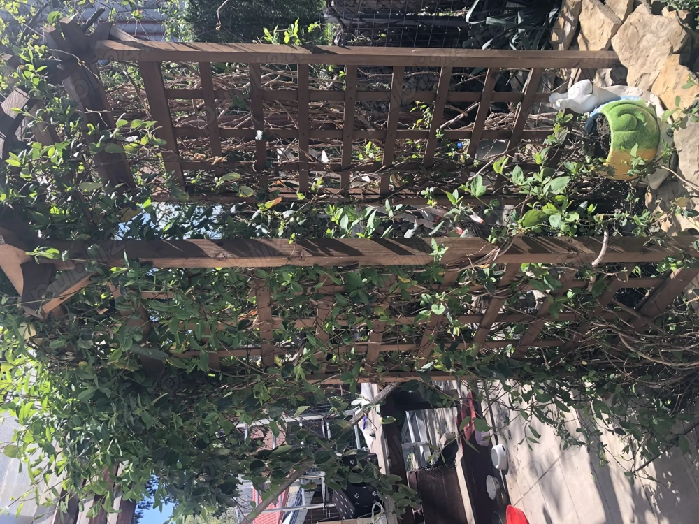 Vanzare casa duplex Suceava utracentral