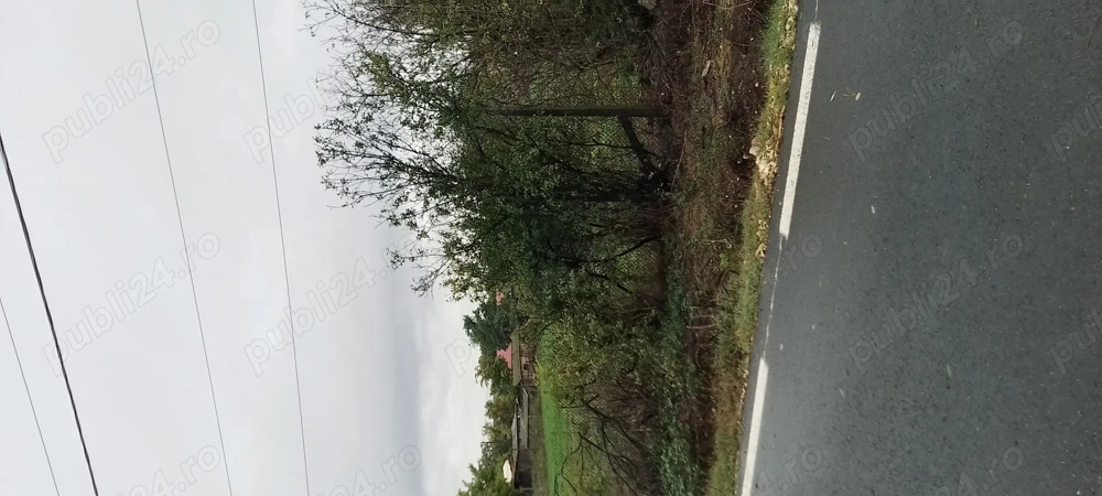 Vând teren din grădina  Vând teren din grădina