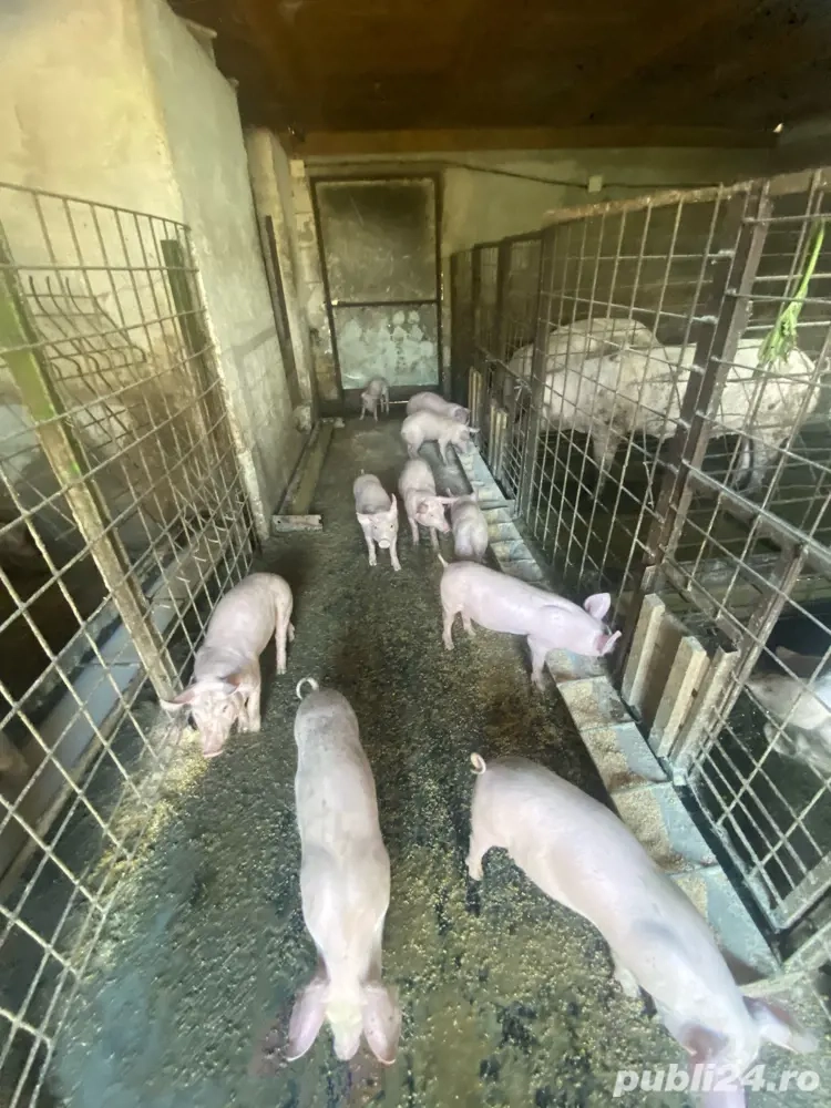 disponibili disponibili