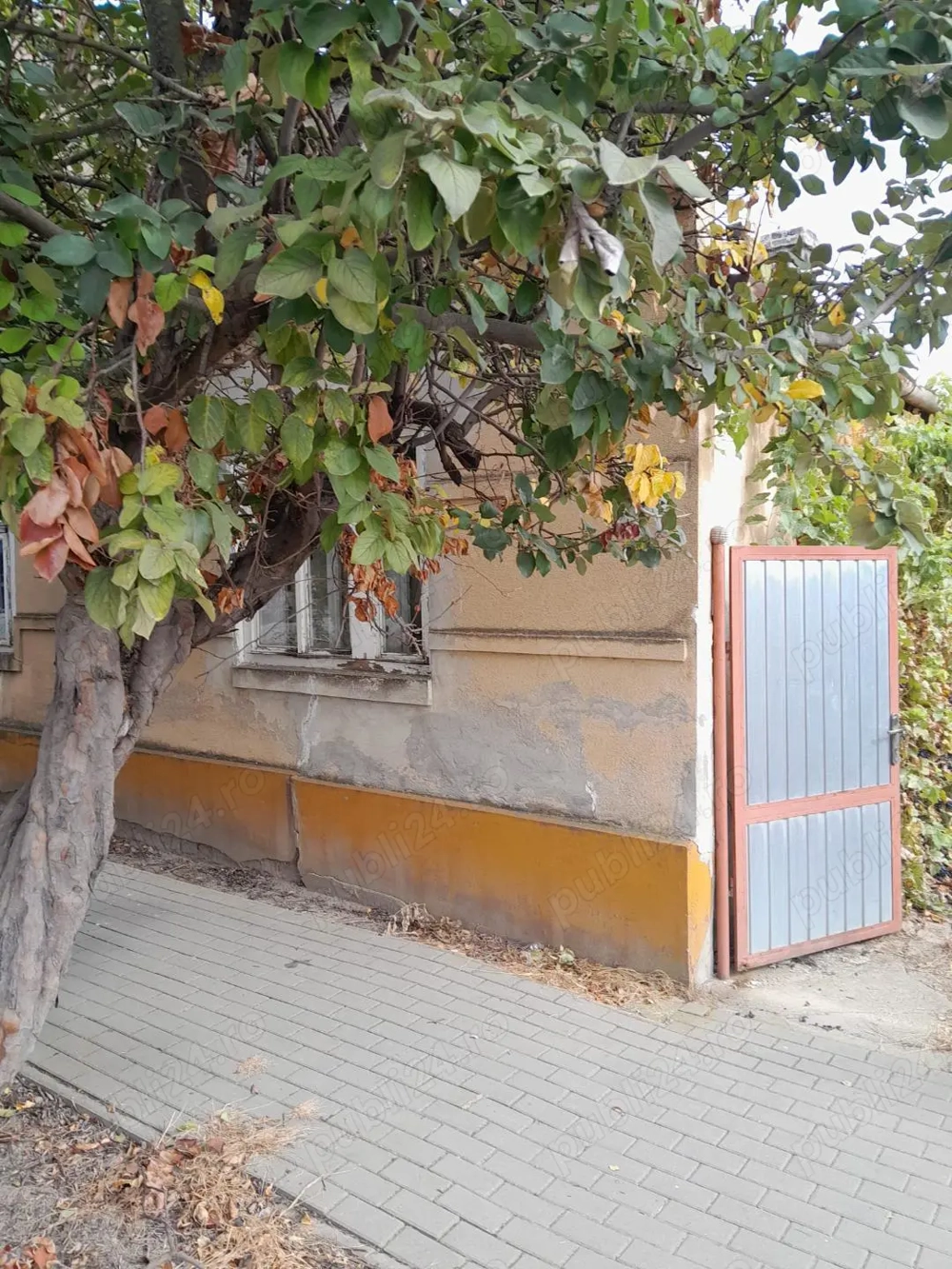 VAND casa loc.Igris jud.Timis