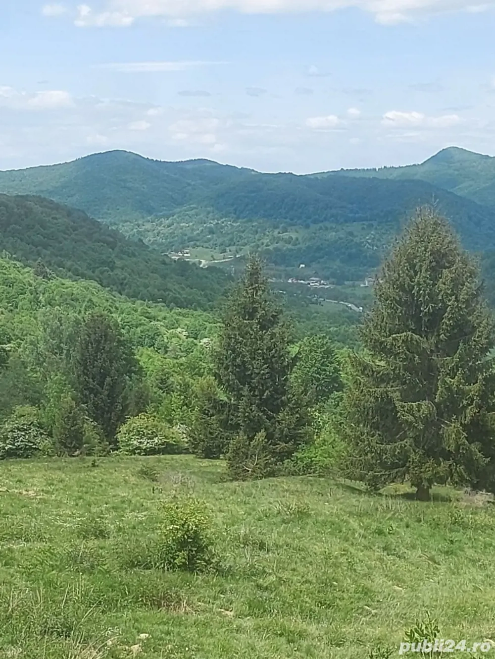 Teren Pârâul Rece Teren Pârâul Rece