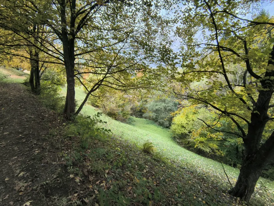 TEREN BRAN - OPORTUNITATE INVESTITIE