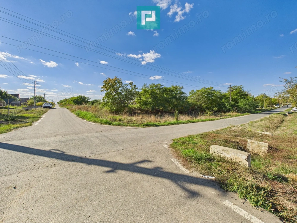 Teren intravilan 6115mp pentru investiții Firiteaz