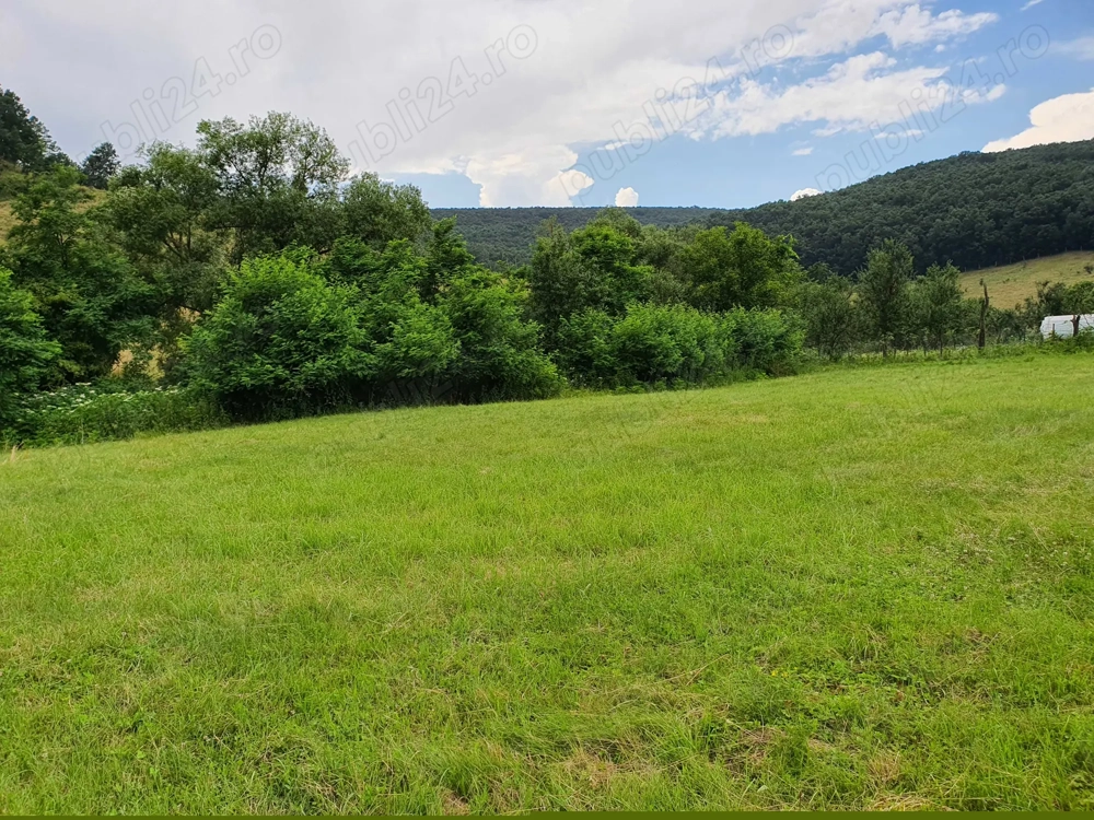 Teren intravilan de vanzare