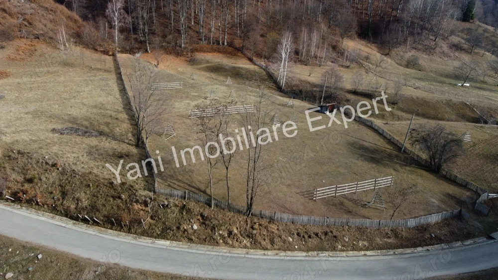 Teren de vânzare în comuna Cicănești, Județ Argeș.