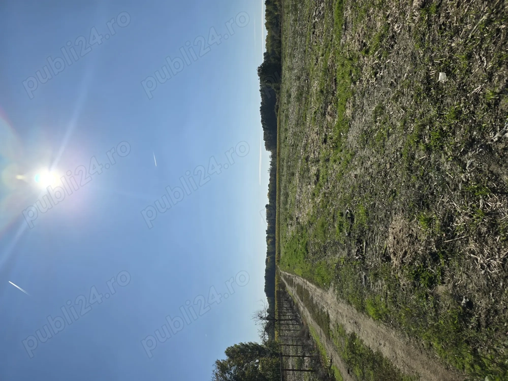 Teren intravilan Ploiești-București