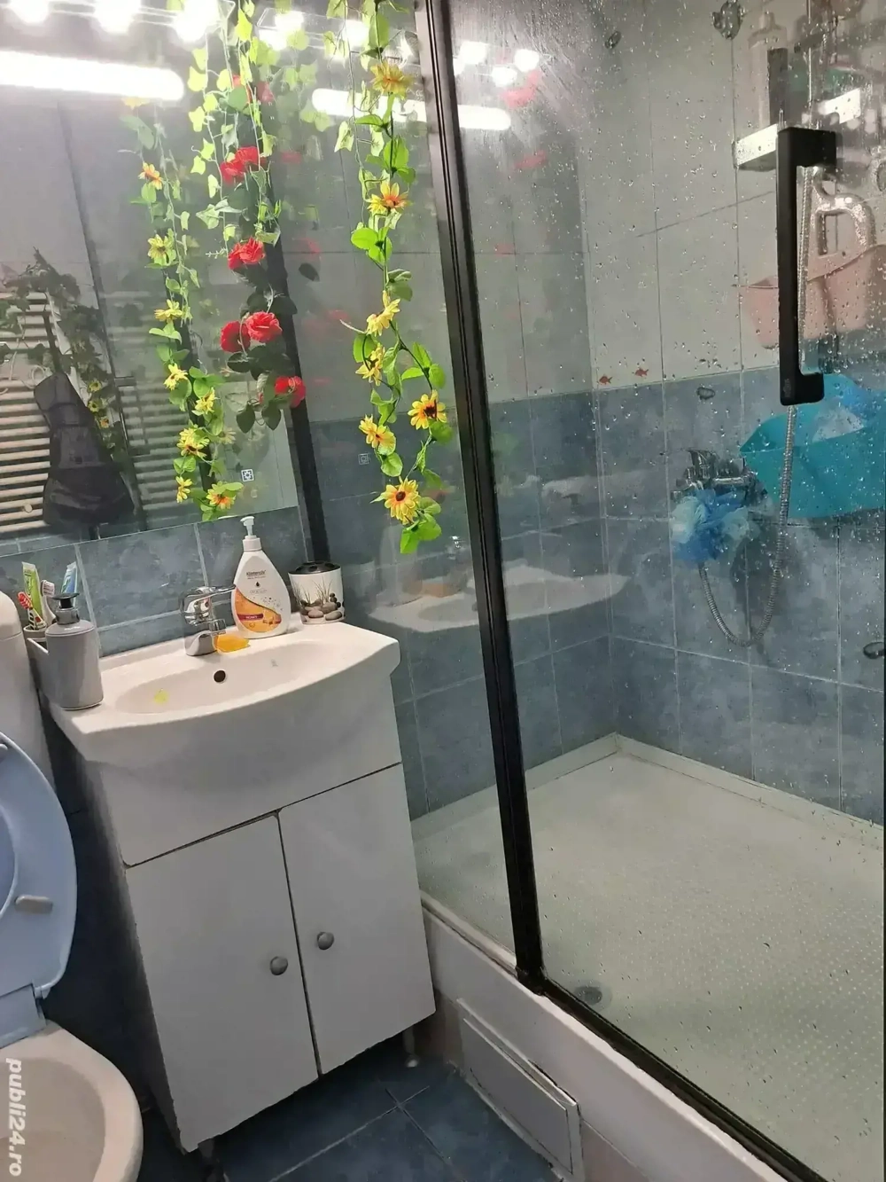 Inchirieri camera curte